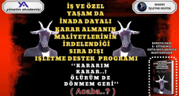 İNADA DAYALI KARAR ALMANIN MALİYETLERİ