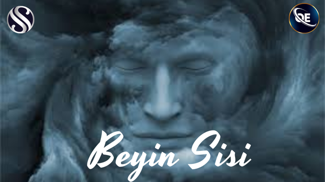 BEYİN SİSİ