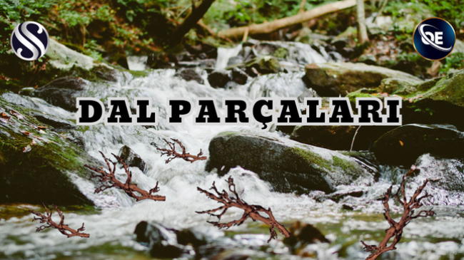 DAL PARÇALARI